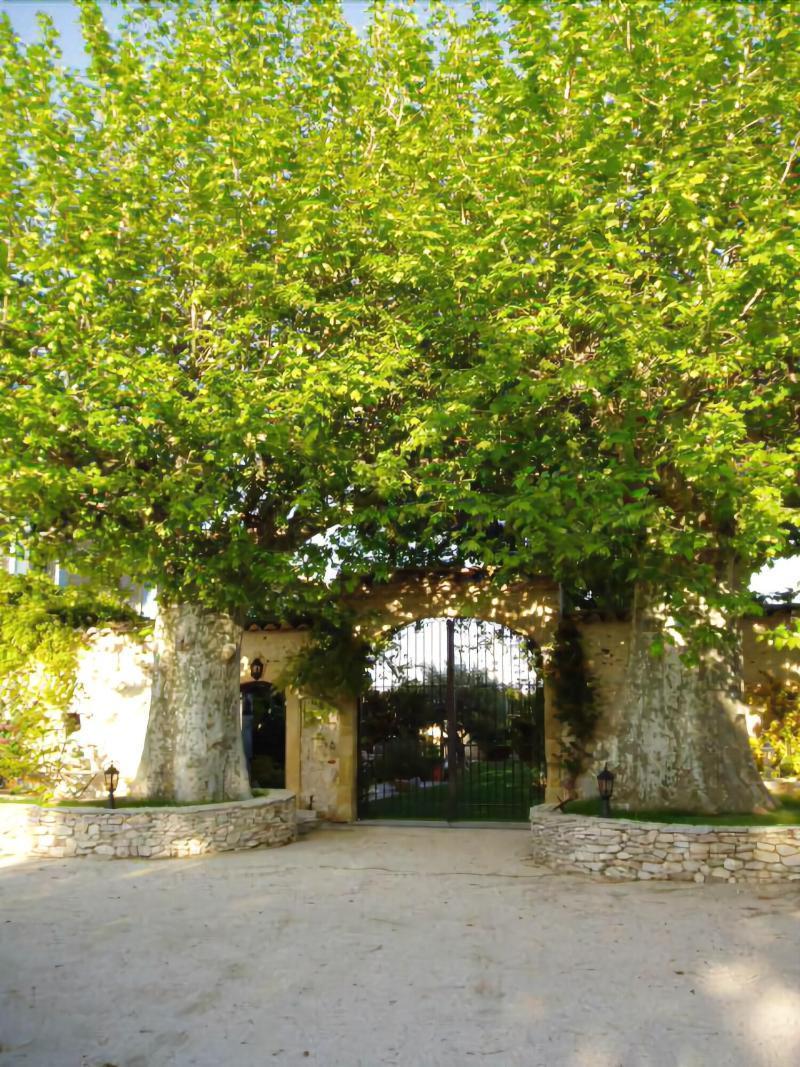 Mas De La Treille Bed & Breakfast Saint-Laurent-des-Arbres Exterior foto