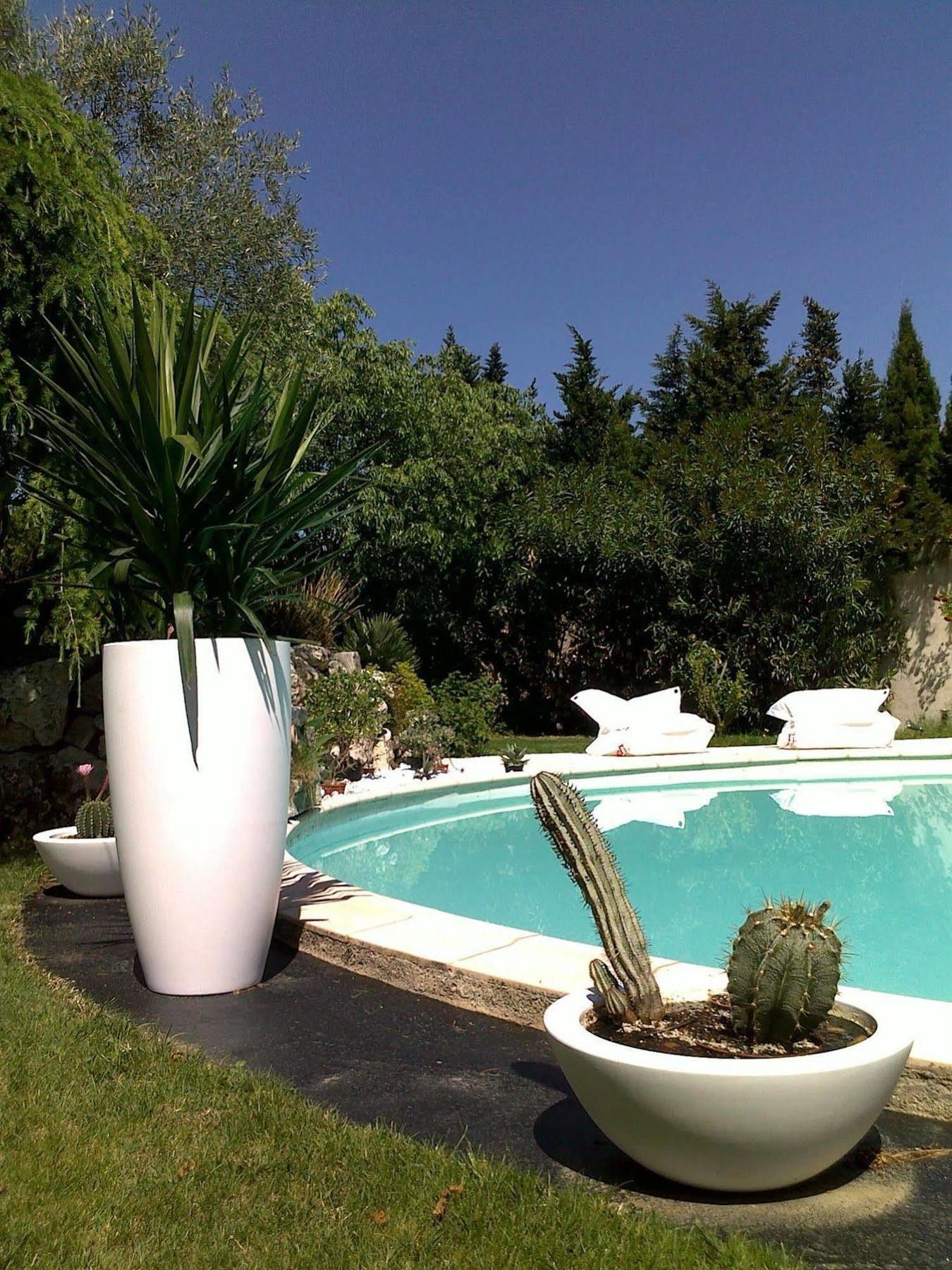 Mas De La Treille Bed & Breakfast Saint-Laurent-des-Arbres Exterior foto