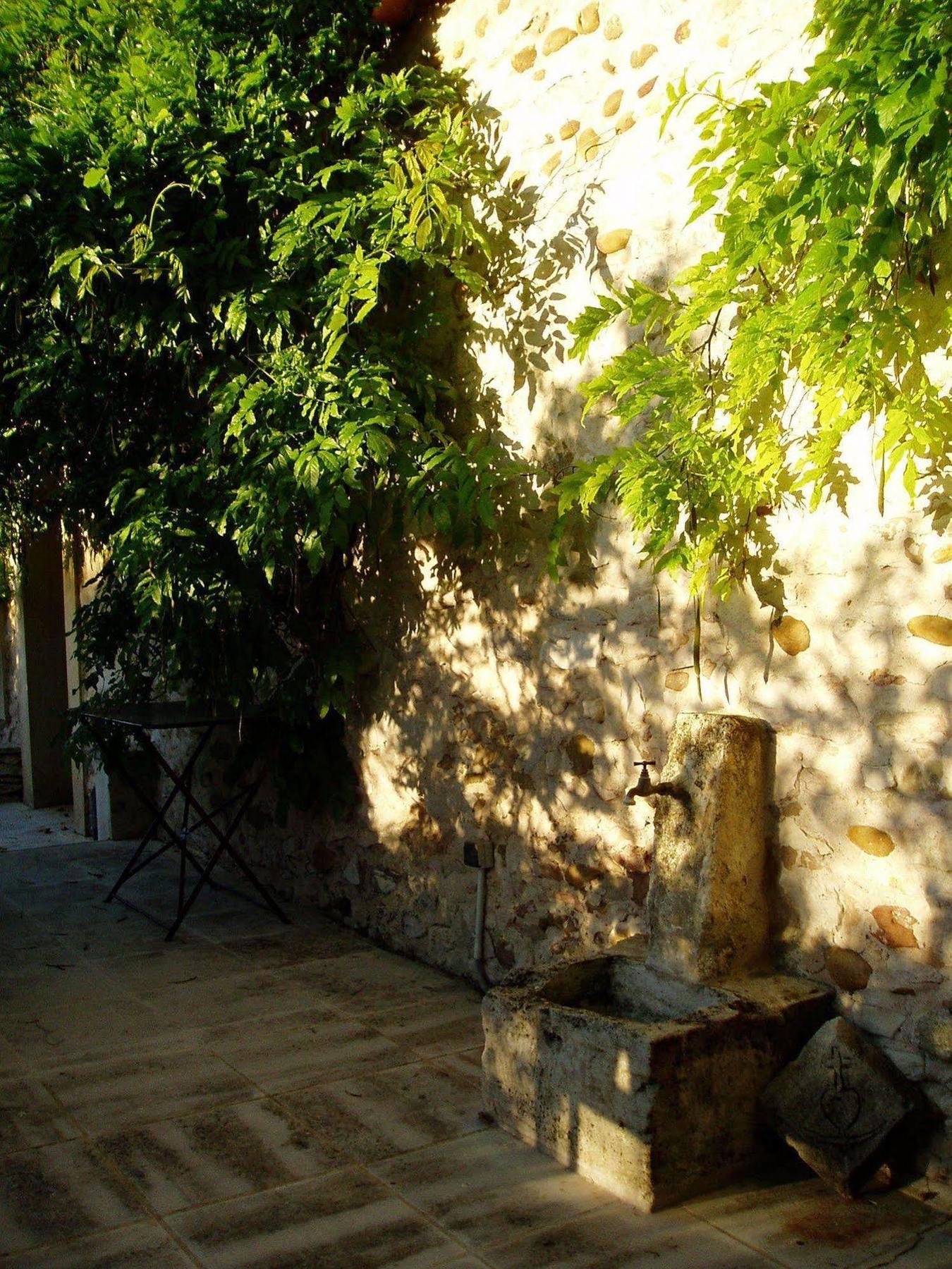 Mas De La Treille Bed & Breakfast Saint-Laurent-des-Arbres Exterior foto